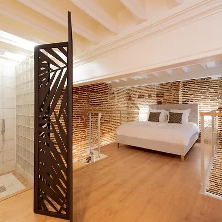 Le Capitoul - D Exception Hypercentre Apartment Toulouse