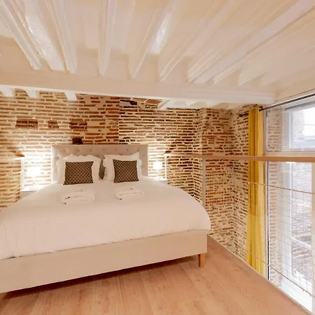 Le Capitoul - D Exception Hypercentre Apartment *